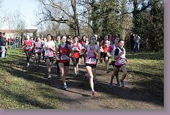 Begles 15.12.13 01 447 * 679 x 453 * (192KB)